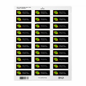 Kat's Eye Nebula NGC 6543 Optical Dying Star, ZGOS Etiket (Full Sheet)
