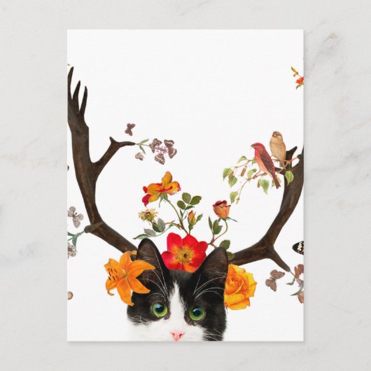 Kat's Horns Briefkaart (Voorkant)