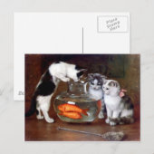 Kats Kittens Vist in een visBowl schilderij Briefkaart (Voorkant / Achterkant)