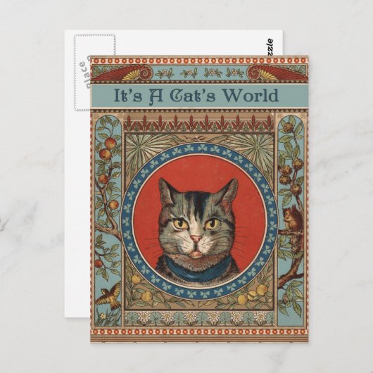  kat's Life for Kitty Cat Classic Briefkaart (Voorkant / Achterkant)