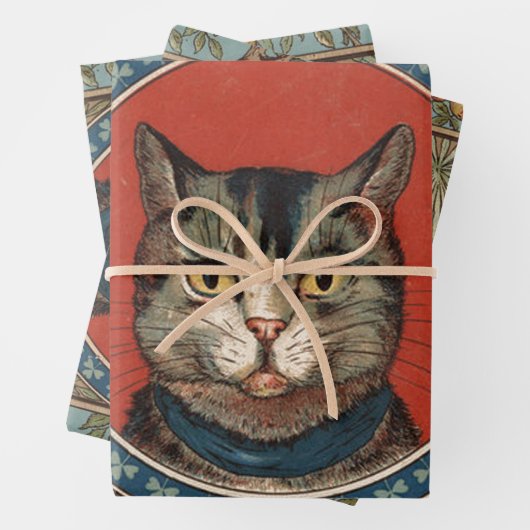  kat's Life for Kitty Cat Classic Inpakpapier Vel (In situ)