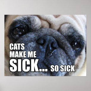 KATS MAKEN ME SICK... ZO SICK ALLERGIE MEME POSTER