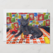 Kat's Meow - Uitnodiging BBQ Party (Voorkant)