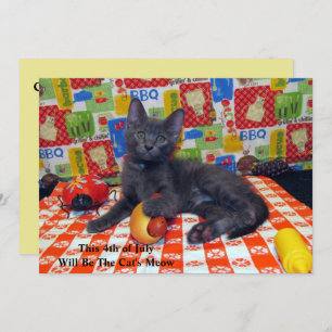 Kat's Meow - Uitnodiging BBQ Party