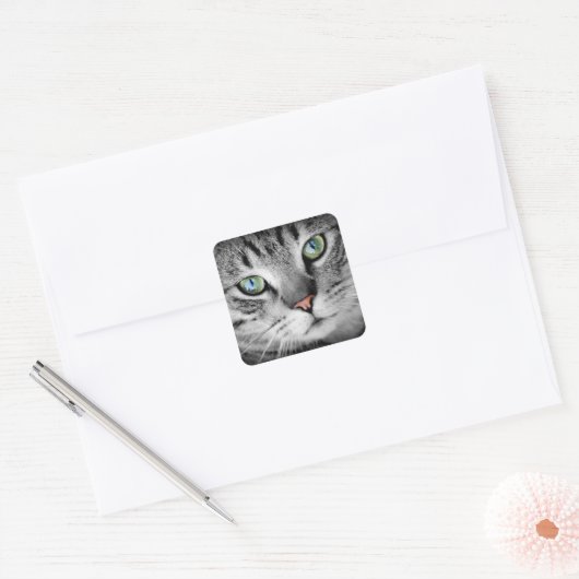 Kat's ogen vierkante sticker (Envelop)