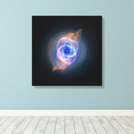 Kat's Ooggloeiende gloed Canvas Afdruk (Insitu (Houten vloer))