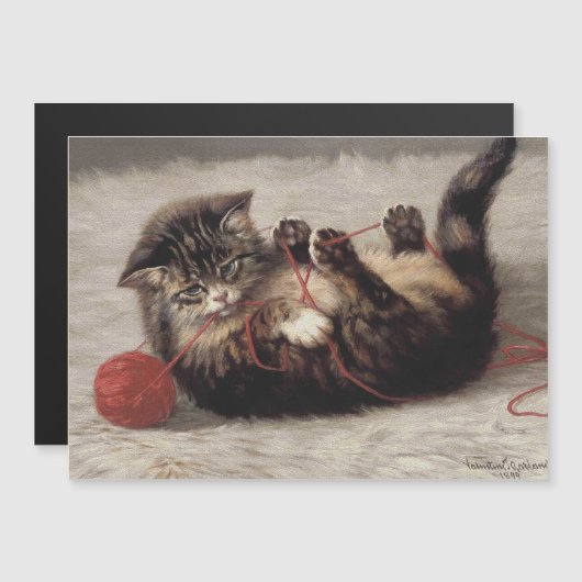 Kat's slede, een kat-speelbak van Yarn (Voorkant / Achterkant)