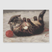 Kat's slede, een kat-speelbak van Yarn (Voorkant)