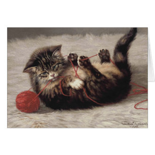 Kat's slede, een kat-speelbak van Yarn