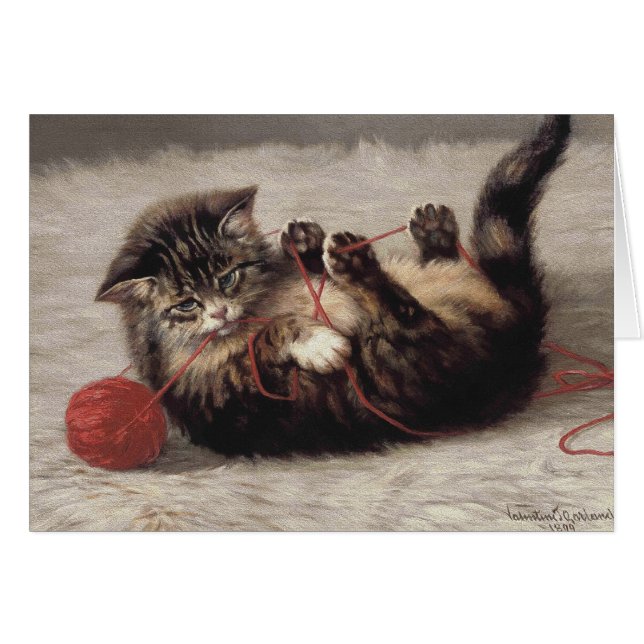 Kat's slede, een kat-speelbak van Yarn (Voorkant Horizontaal)