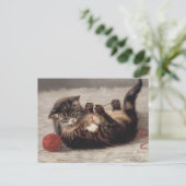 Kat's slede, een kat-speelbak van Yarn Briefkaart (Staand voorkant)