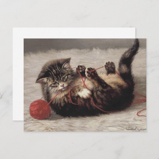 Kat's slede, een kat-speelbak van Yarn Briefkaart (Voorkant / Achterkant)