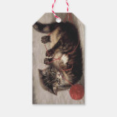 Kat's slede, een kat-speelbak van Yarn Cadeaulabel (Voorkant)