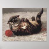 Kat's slede, een kat-speelbak van Yarn Folie Afdrukken (Voorkant)