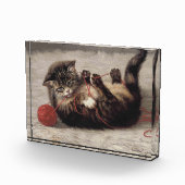 Kat's slede, een kat-speelbak van Yarn Fotoblokken (Rechts)