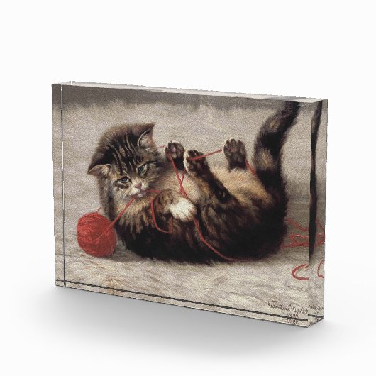 Kat's slede, een kat-speelbak van Yarn Fotoblokken (Rechts)