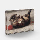 Kat's slede, een kat-speelbak van Yarn Fotoblokken (Links)