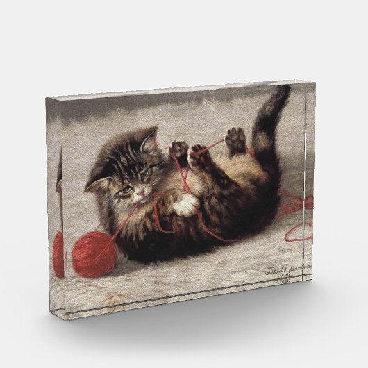 Kat's slede, een kat-speelbak van Yarn Fotoblokken (Links)