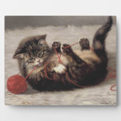 Kat's slede, een kat-speelbak van Yarn Fotoplaat (Voorkant)