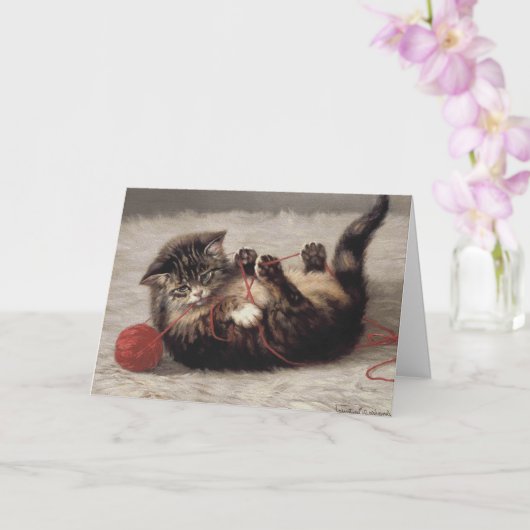 Kat's slede, een kat-speelbak van Yarn Kaart (Orchidee)