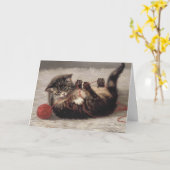 Kat's slede, een kat-speelbak van Yarn Kaart (Gele Bloem)