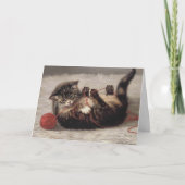 Kat's slede, een kat-speelbak van Yarn Kaart (Voorkant)