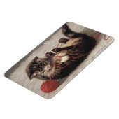 Kat's slede, een kat-speelbak van Yarn Magneet (Linkerzijde)