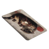 Kat's slede, een kat-speelbak van Yarn Magneet (Rechterzijde)