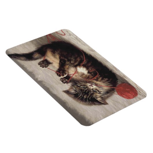 Kat's slede, een kat-speelbak van Yarn Magneet (Rechterzijde)