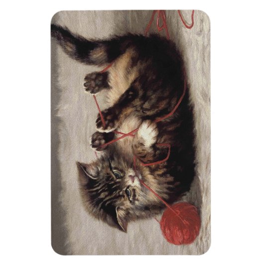 Kat's slede, een kat-speelbak van Yarn Magneet (Verticaal)