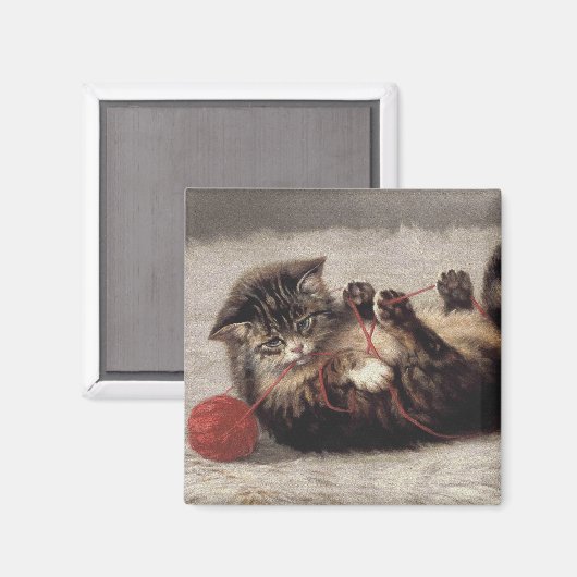 Kat's slede, een kat-speelbak van Yarn Magneet (Voorkant / Achterkant)