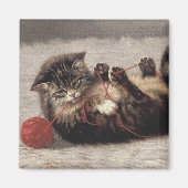 Kat's slede, een kat-speelbak van Yarn Magneet (Voorkant)