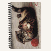 Kat's slede, een kat-speelbak van Yarn Notitieboek (Voorkant)