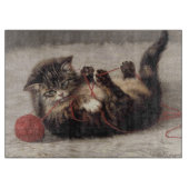 Kat's slede, een kat-speelbak van Yarn Snijplank (Voorkant)