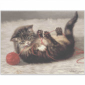 Kat's slede, een kat-speelbak van Yarn Sticker (Voorkant)