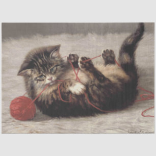 Kat's slede, een kat-speelbak van Yarn Tissuepapier