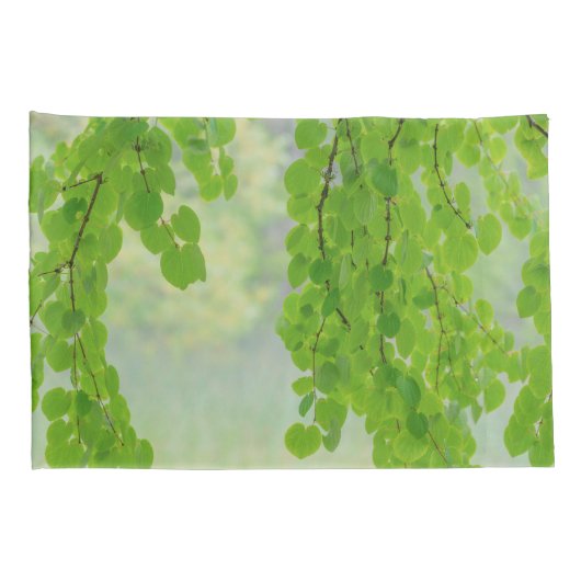 Katsura Tree Limbs in Springtime | Seabeck, WA Kussensloop (Achterkant-Rechts)