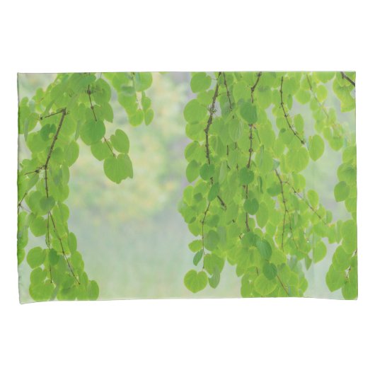 Katsura Tree Limbs in Springtime | Seabeck, WA Kussensloop (Voorkant-Rechts)