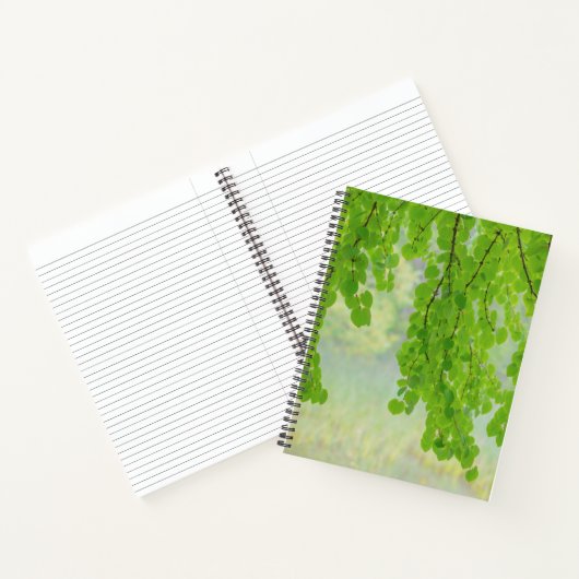 Katsura Tree Limbs in Springtime | Seabeck, WA Notitieboek (Binnen)