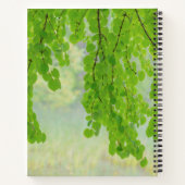 Katsura Tree Limbs in Springtime | Seabeck, WA Notitieboek (Achterkant)