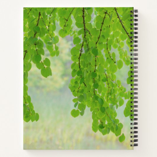 Katsura Tree Limbs in Springtime | Seabeck, WA Notitieboek (Achterkant)