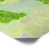 Katsura Tree Limbs in Springtime | Seabeck, WA Poster (Hoek)