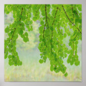 Katsura Tree Limbs in Springtime | Seabeck, WA Poster (Voorkant)