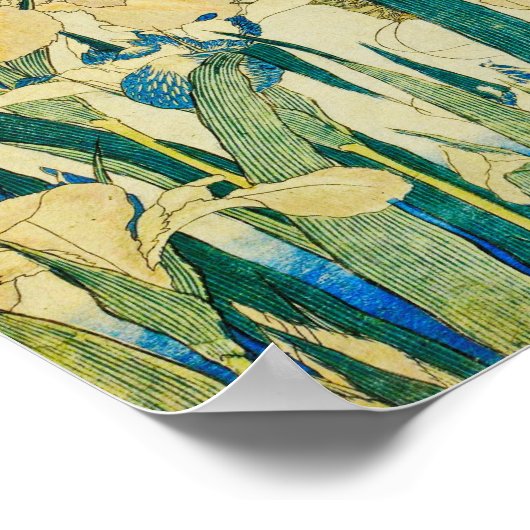 Katsushika Hokusai-Blossoming Irises en Grasshopp Poster (Hoek)