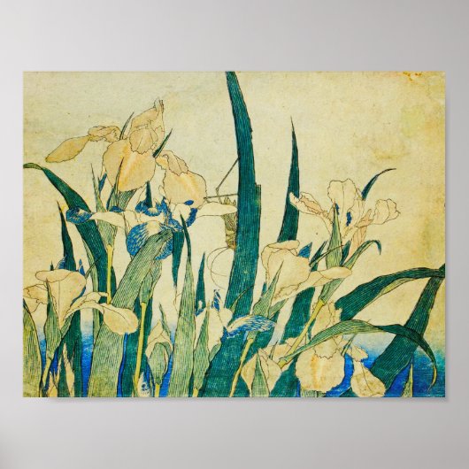 Katsushika Hokusai-Blossoming Irises en Grasshopp Poster (Voorkant)