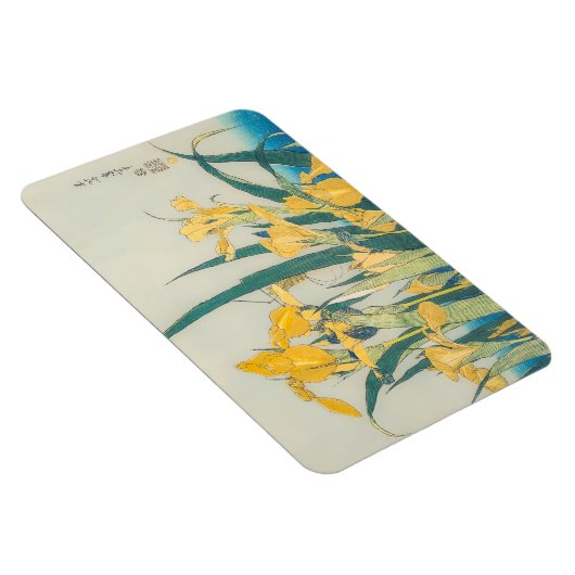 Katsushika Hokusai - Grasshopper en Iris Magneet (Rechterzijde)