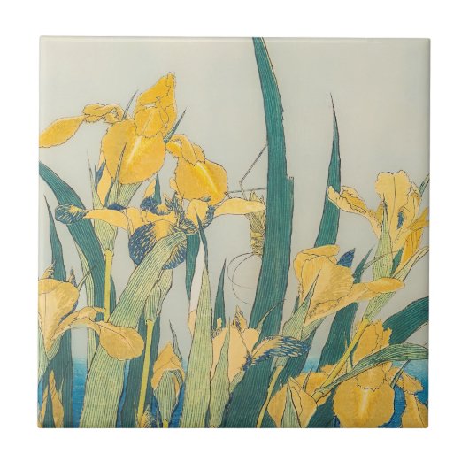 Katsushika Hokusai - Grasshopper en Iris Tegeltje (Voorkant)