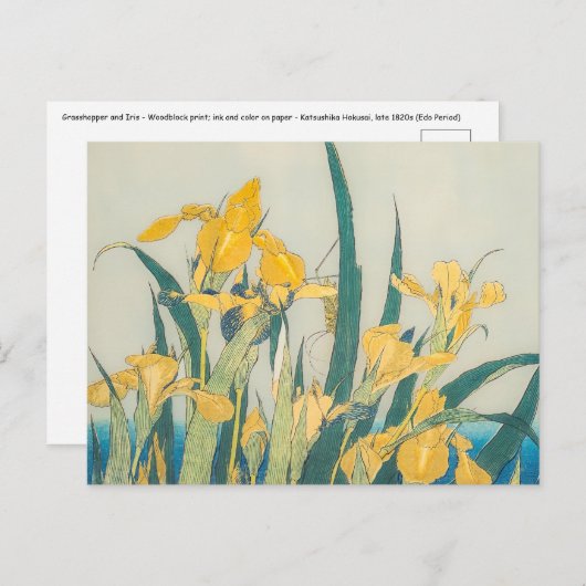 Katsushika Hokusai - Sprinkhaan en Iris Briefkaart (Voorkant / Achterkant)