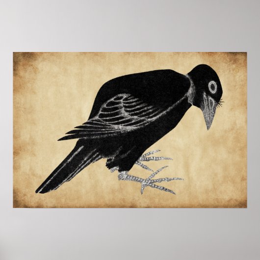 Katsushika Hokusai's Kraai 1814 Poster (Voorkant)