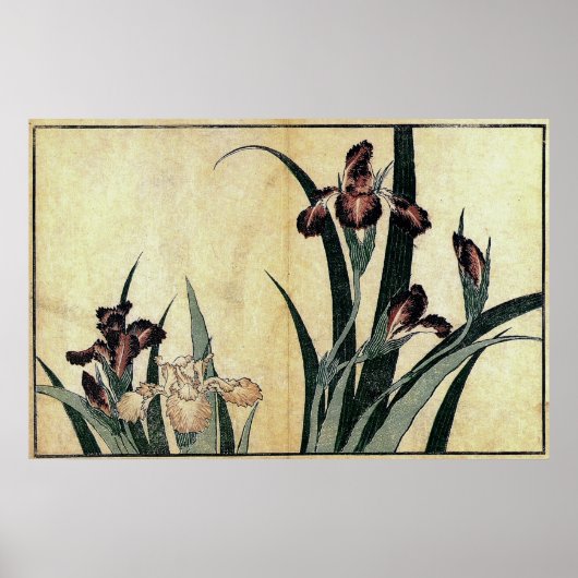 Katsushika Hokusai's Ukiyo-e Woodcut Print: Irises Poster (Voorkant)